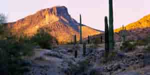 Tucson